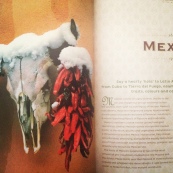 Food Lovers Guide - Mexico